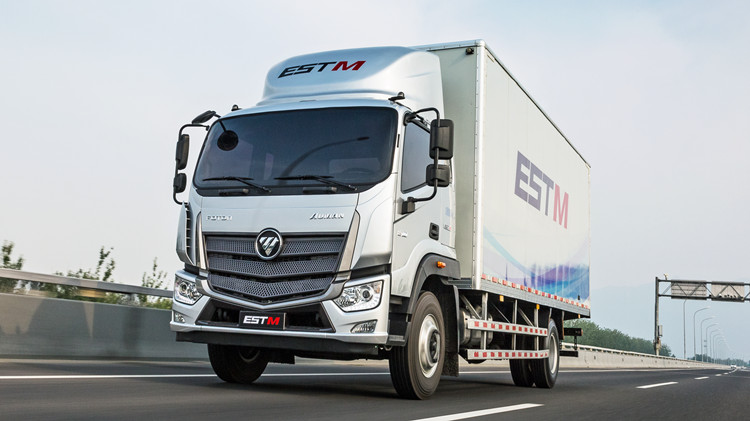 Foton Aumark EST-M Refrigerated Truck for Sale in Jamaica